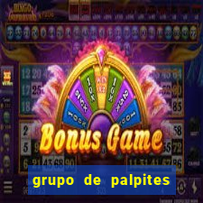 grupo de palpites de futebol whatsapp